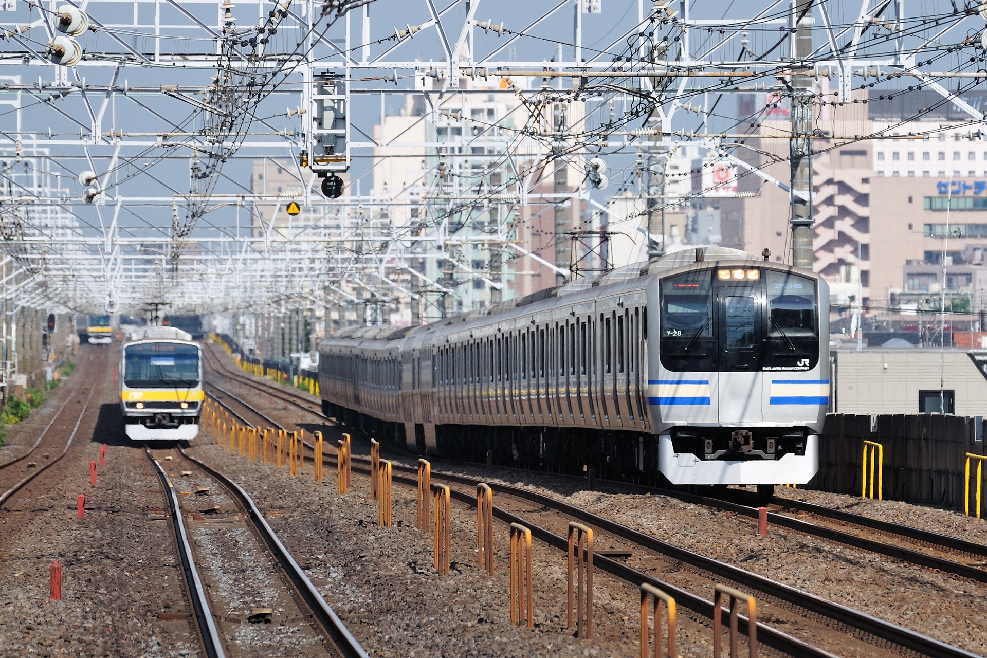 鉄道 電車 横須賀 総武線快速 壁紙19x1280 壁紙館