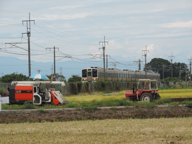 収穫真っ只中を行く211系