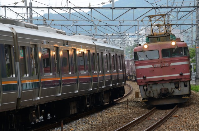 EF81719