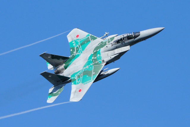 F-15DJ アグレッサー機