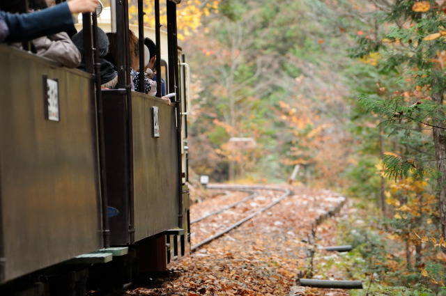 晩秋へ出発。森林鉄道