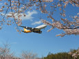 Air Hong KongB747