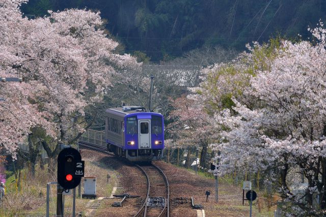 キハ120 関西本線