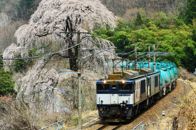 中央西線の貨物列車