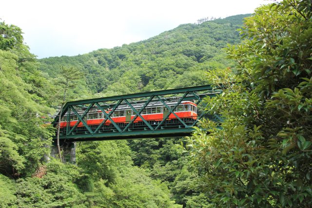 旧型車が行く