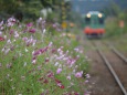 真岡鉄道「モオカ14形」