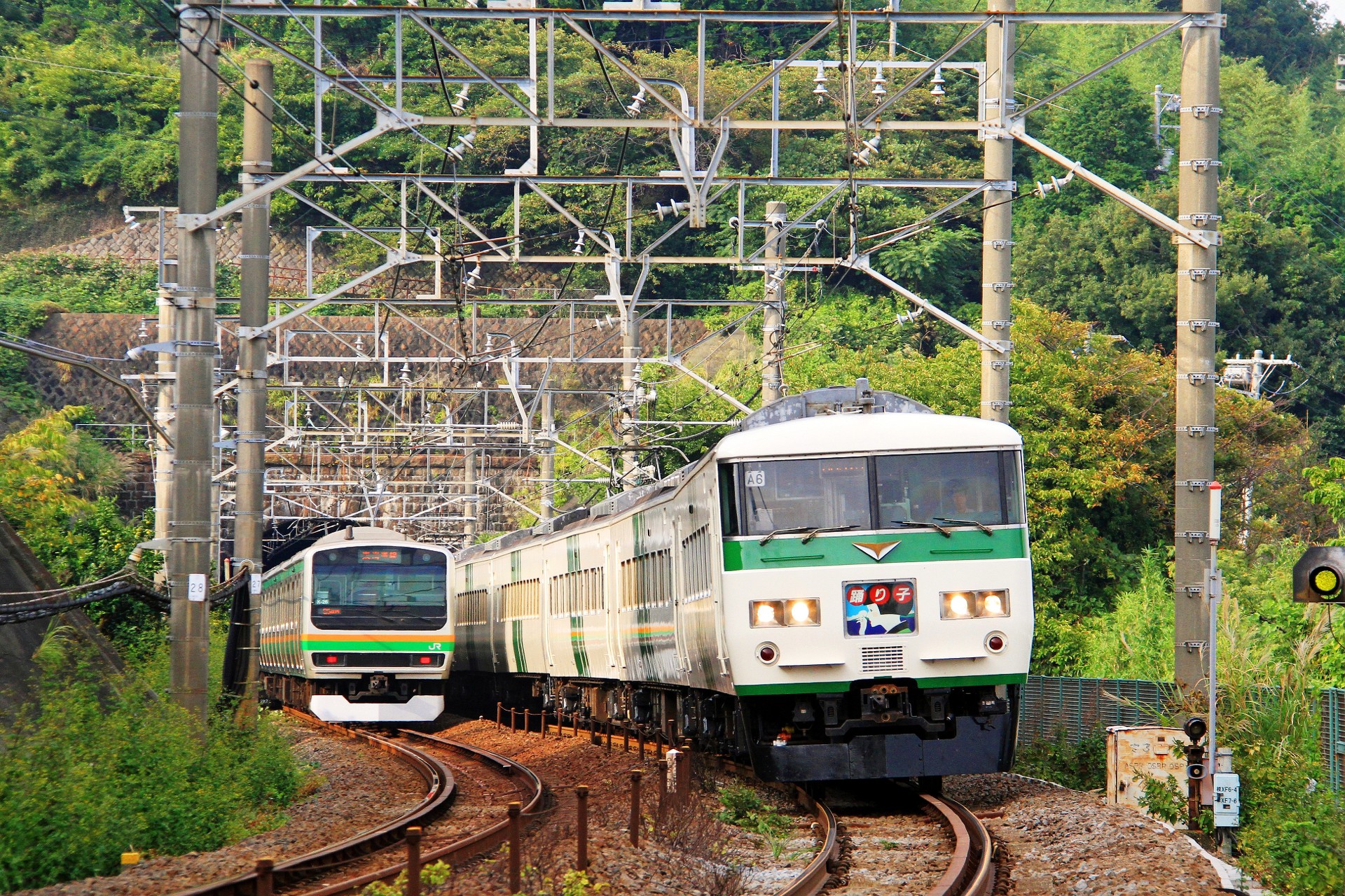 鉄道 電車 185系a6編成 踊り子117号 と 壁紙19x1280 壁紙館