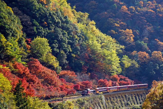 保津峡とトロッコ列車