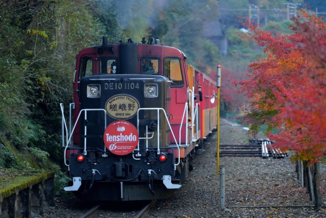 トロッコ列車 DE10