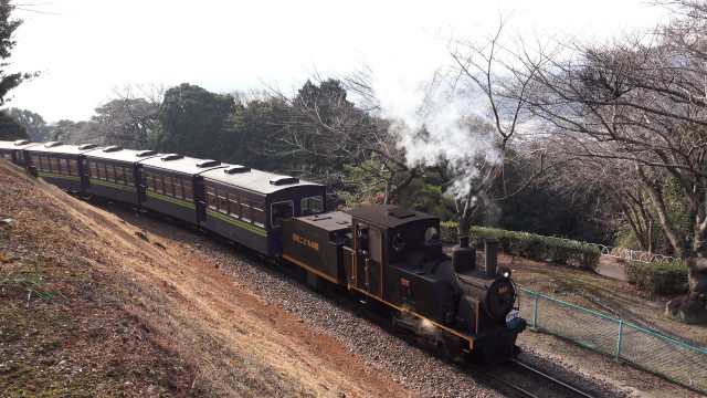 こども汽車3