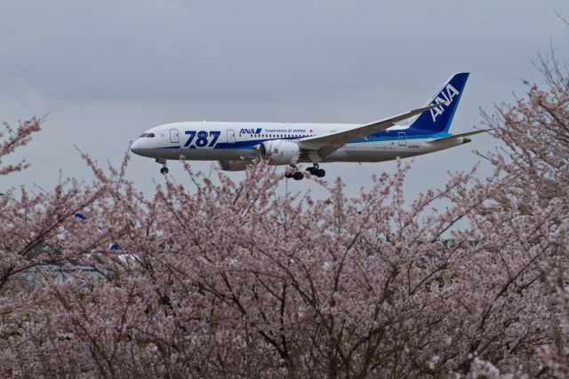 B787 JA822A