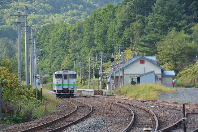 夏の終わりの山の中