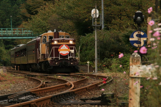 トロッコ「わたらせ渓谷号」