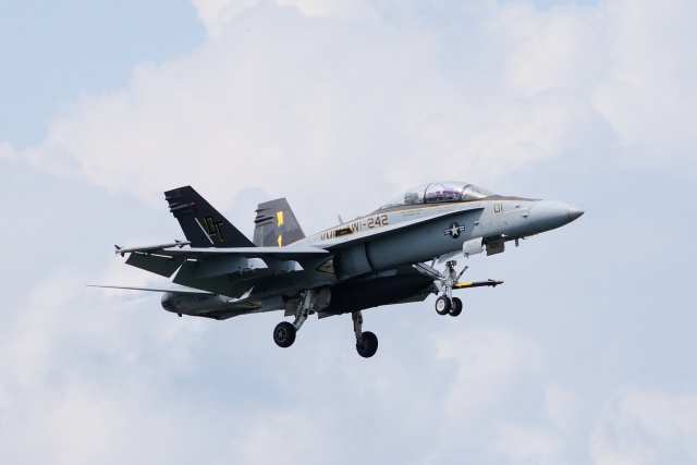 F/A-18D Bats CAG機