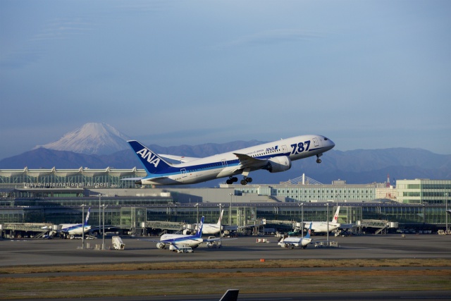 ハミングバードと富士山