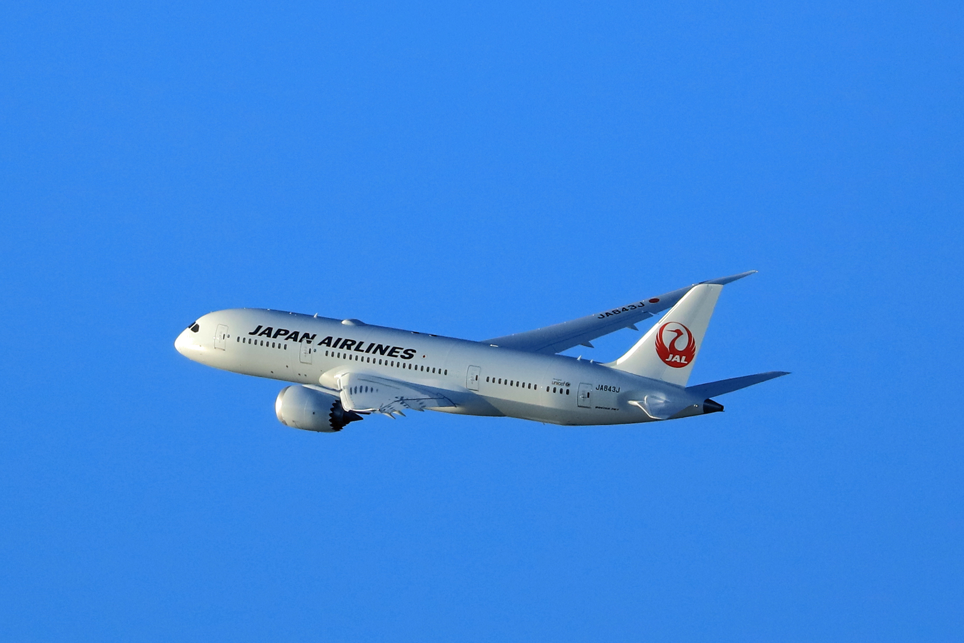 日本航空の写真 画像 検索結果 1 画像数122枚 壁紙 Com