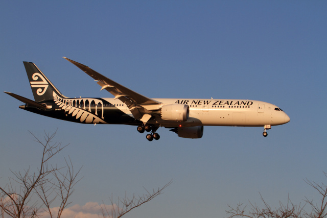 B787-9 ZK-NZF