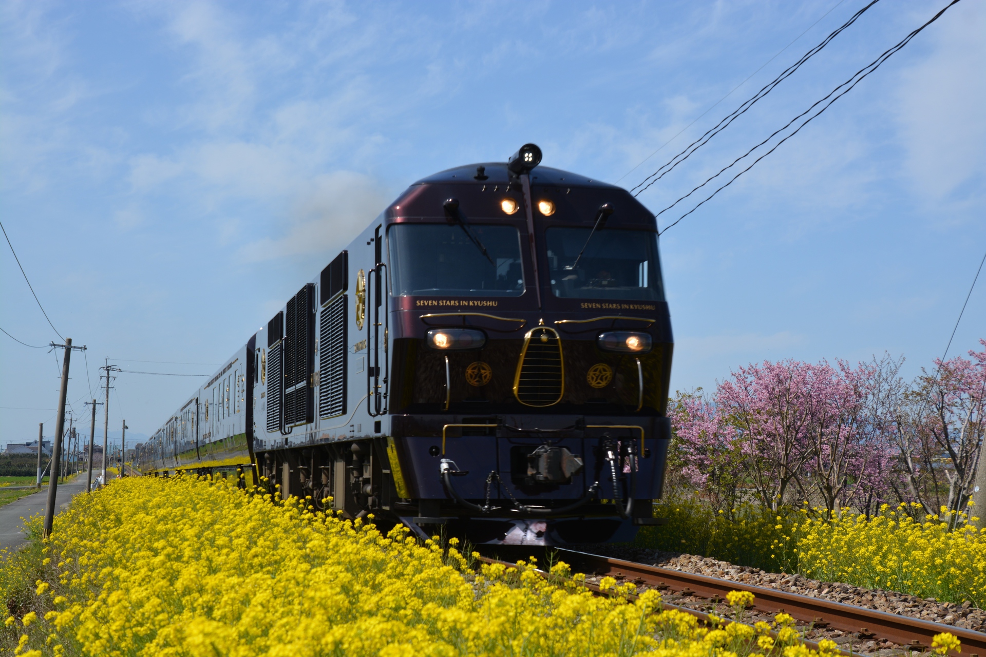 鉄道 ディーゼル機関車 ななつ星in九州と菜の花 壁紙19x1280 壁紙館