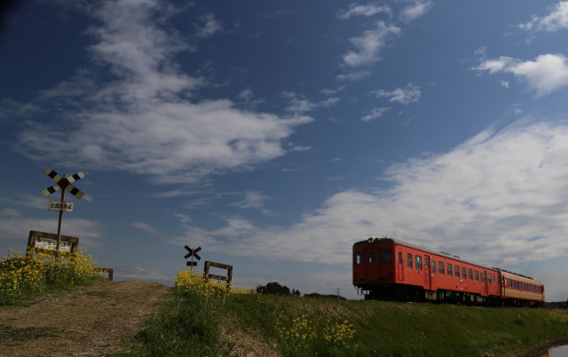 春のいすみ鉄道