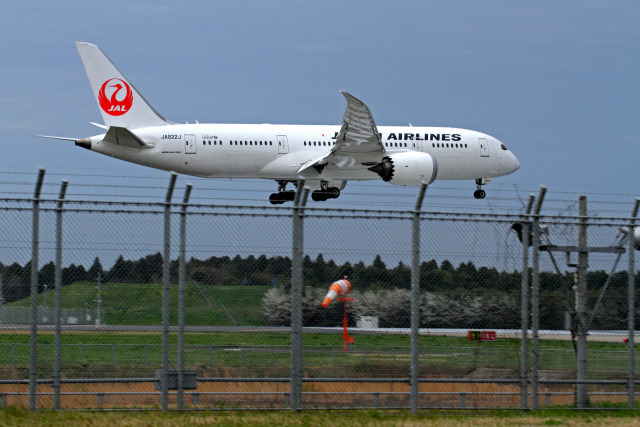 B787 JA822J