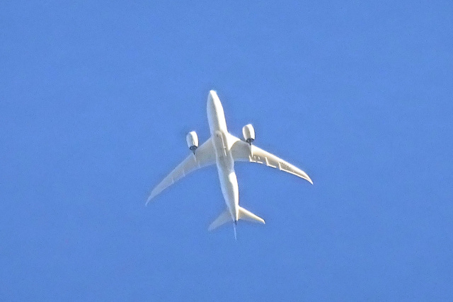 冬空上空のジェット旅客機