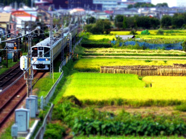 田園を走る小田急線