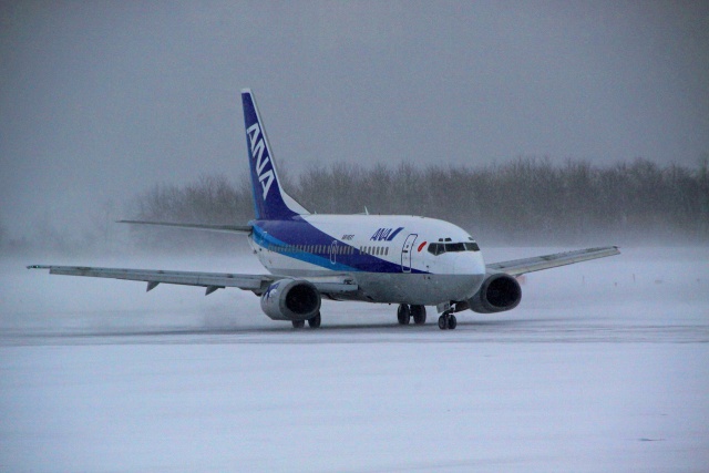 雪の空港