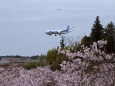 成田空港