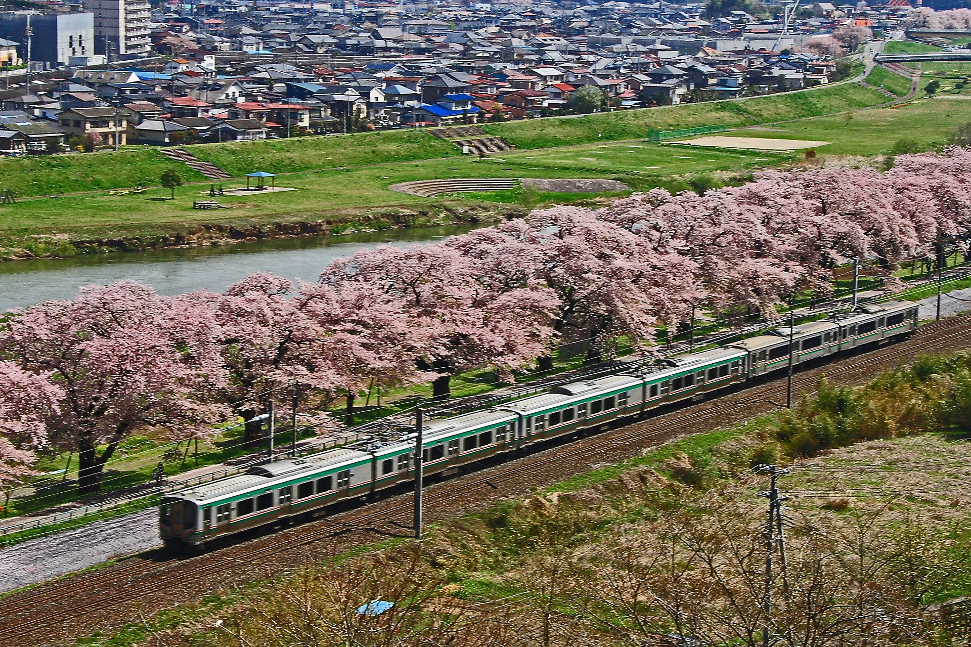 鉄道 電車 一目千本桜を行く東北本線 壁紙19x1279 壁紙館