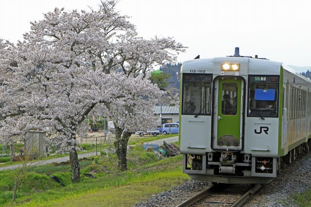 桜の有る駅「夏井」