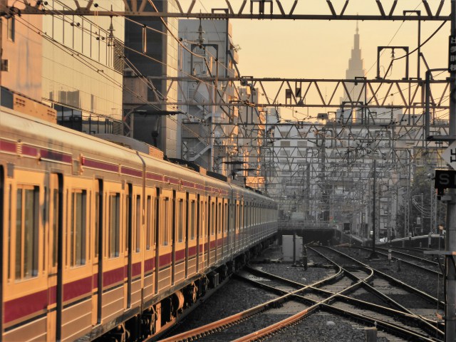 朝日に輝く京王電車