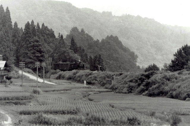 田園地帯を走る