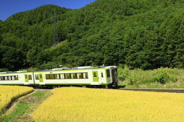 小海線田園を行く