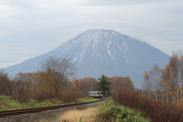 秋色の山線を行く150系(1)