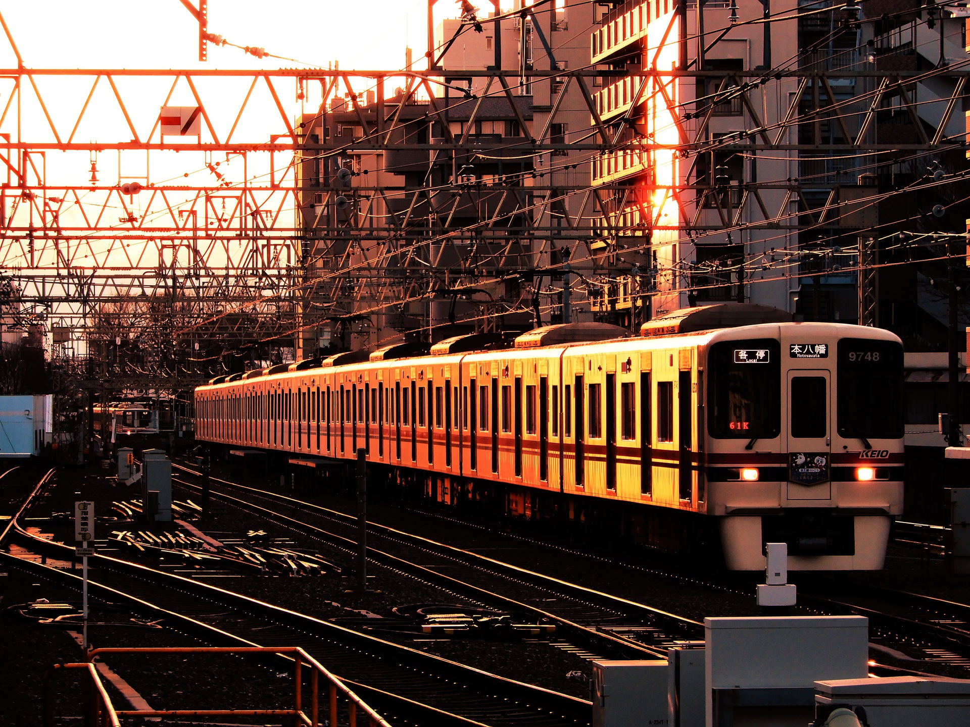 鉄道 電車 夕焼けの中を走る京王電車 壁紙19x1440 壁紙館