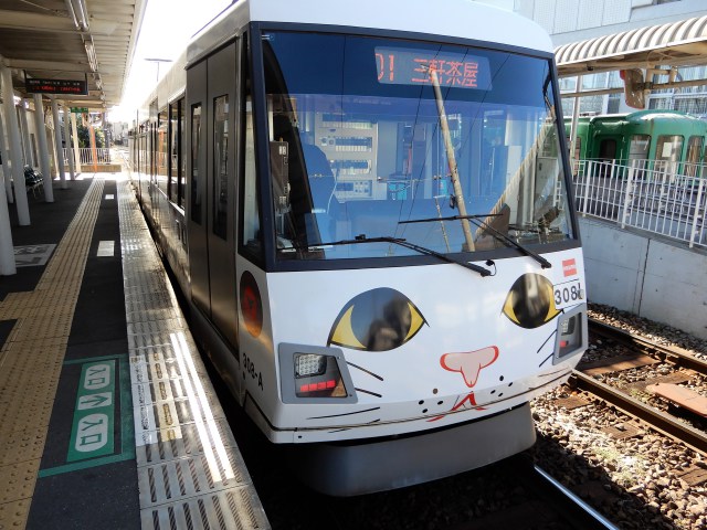 招き猫電車