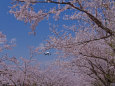 成田空港