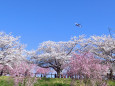 成田空港