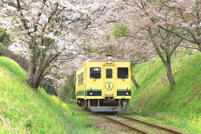 いすみ鉄道 西畑～総元