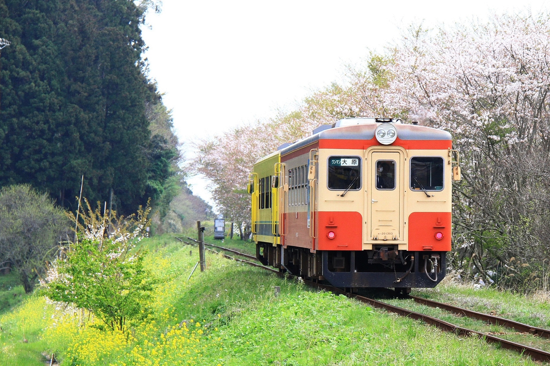 鉄道 気動車 いすみ鉄道 キハ 1303 壁紙19x1280 壁紙館