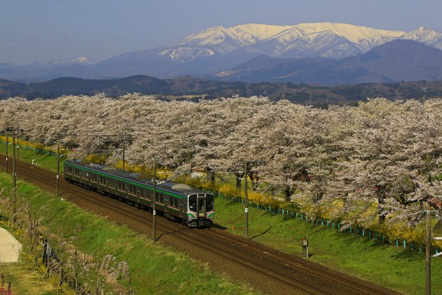 東北本線仙台行