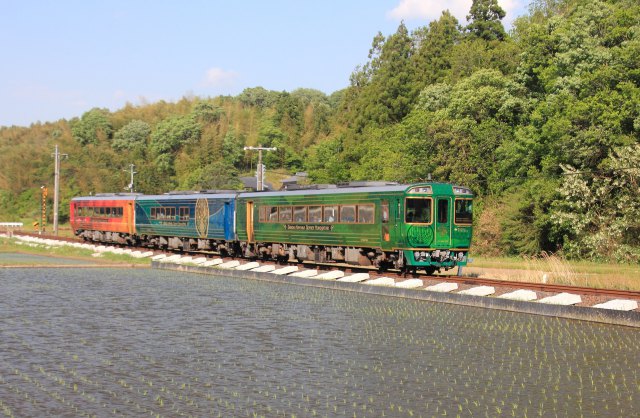 水田を走る観光列車