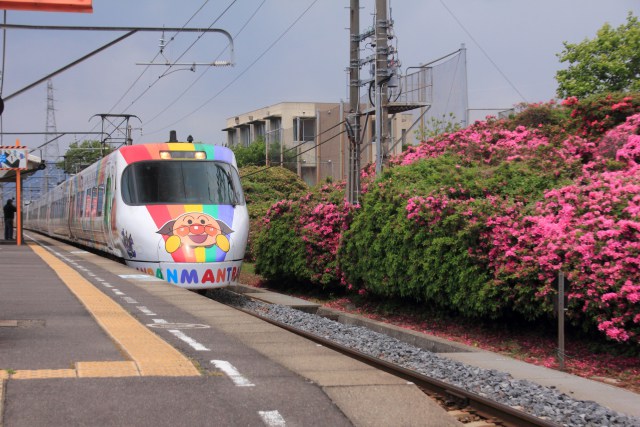 ツツジとアンパンマン列車