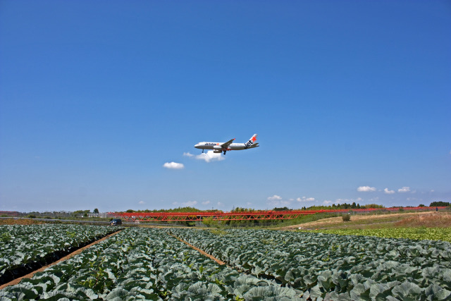 成田空港