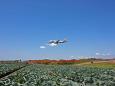 成田空港