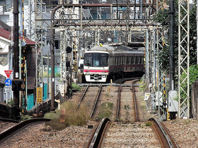 京王電車