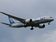 B787 JA806A