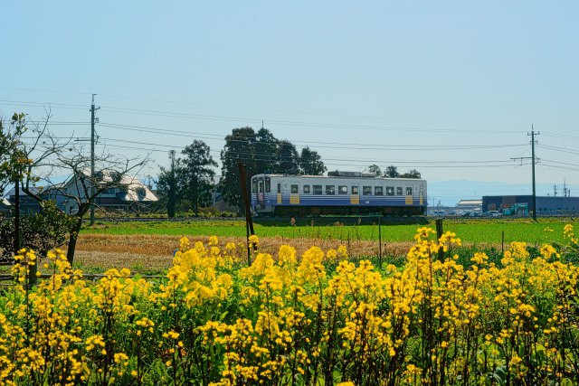 川合鷲塚の春