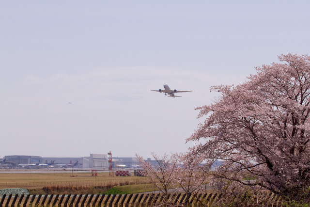 あと2週間？