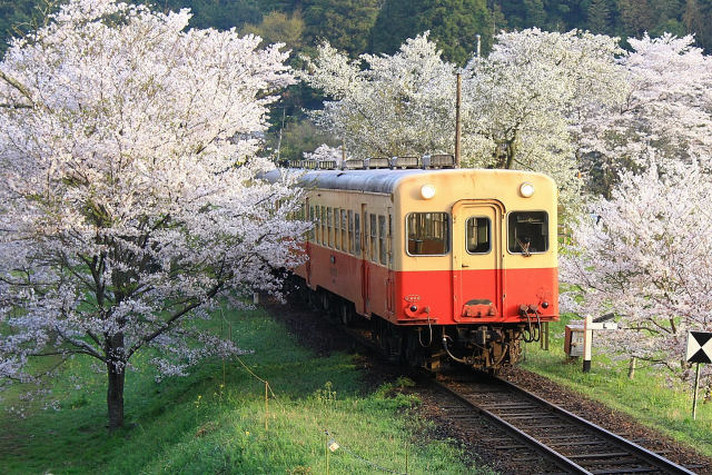 小湊鐵道 飯給駅